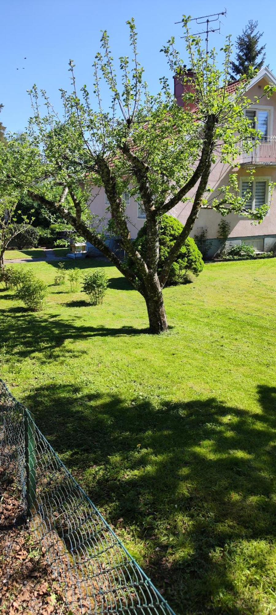 Hela Boendet Uthyres Överlida Exteriér fotografie